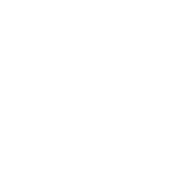 security img
